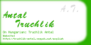 antal truchlik business card